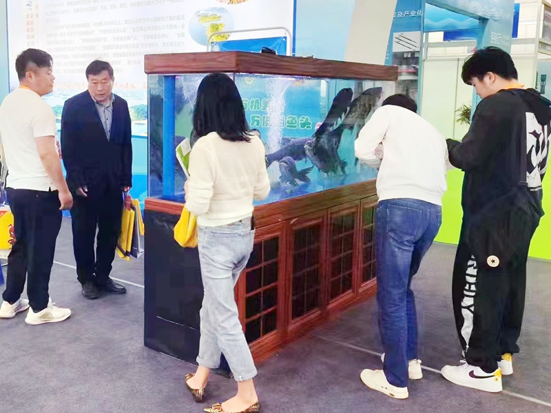 万佛湖有机鱼荣膺第六届中国国际现代渔业博览会金奖